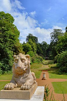Deepdene Gardens, View from the lion