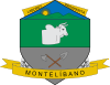 Official seal of Montelíbano