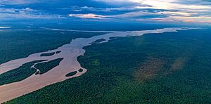 Essequibo River.jpg