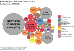 Ethnic Origins in New York