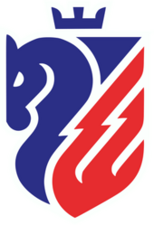 FC Botosani 2022 logo.png