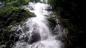 Falling Waters in KORUP National park