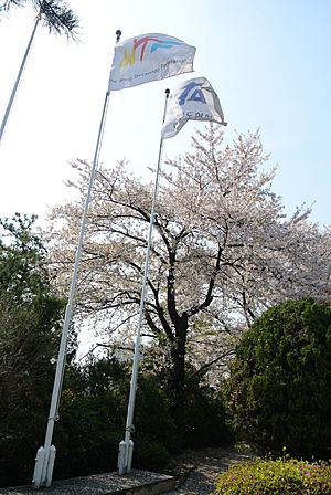 Flags Kukkiwon Seoul