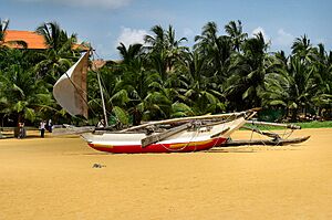 Flickr - ronsaunders47 - SRI LANKAN FISHING BOAT. 2