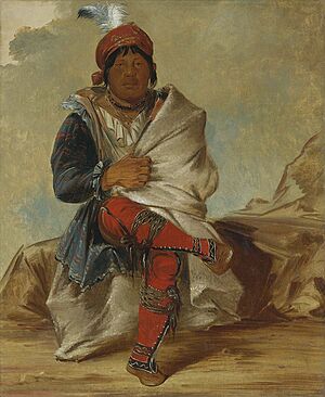 George Catlin - Mick-e-no-páh, Chief of the Tribe - 1985.66.300 - Smithsonian American Art Museum