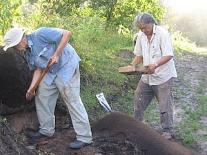 George Simon at work on the Berbice Archaeology Project, 2009
