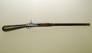 Girandoni Air Rifle