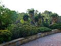 Gold Coast Regional Botanic Gardens (03)