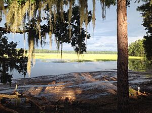 Golden marsh view of the north side of Callawassie Island over the Little Chechessee River
