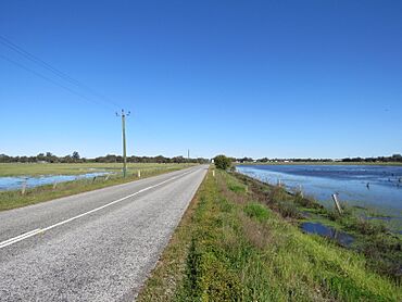 Gossage Road in Oldbury, Western Australia, August 2022.jpg