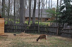HENRICUS, CHESTERFIELD COUNTY, VIRGINIA