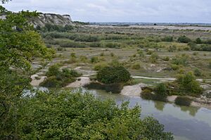 Houghton Regis Marl Lakes 24
