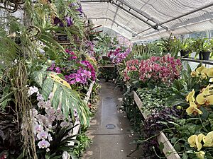 Interior of the Greenhouses at Newfields