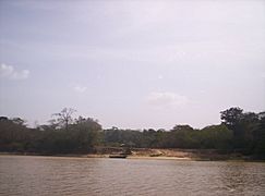 Isla de Anacoco caño Brazo Negro del río Cuyuní