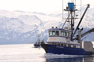 Kachemak1