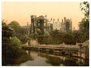 Kilkenny Castle. County Kilkenny, Ireland-LCCN2002717434