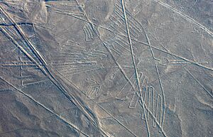 Líneas de Nazca, Nazca, Perú, 2015-07-29, DD 55