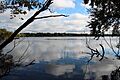 Lake Nokomis viewed from Lake Nokomis Pkwy bridge, Oct 2017