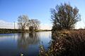 Little Ouse River at Decoy Fen - geograph.org.uk - 617656