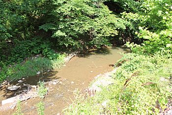 Lotts Creek, Knott County, Kentucky.jpg