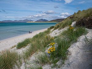 Luskentyre Beach, Lewis and Harris, The Outer Hebrides, Scotland (2).jpg