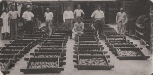 Making Dried bonito at Chuuk, Micronesia in 1931