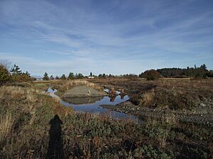 Marshall-Stevenson Wildlife Sanctuary, diversions created to slow flow and stop erosion