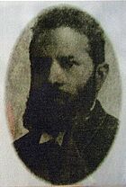 Martiniano Ferreira Botelho