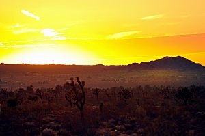 Massive Sunset over the Mojave