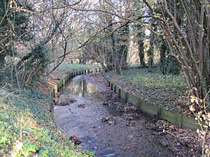 Mutton Brook in Brookside Walk