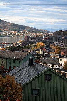 Narvik1