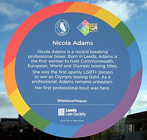 Nicola Adams Rainbow Plaque