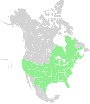 North America Range Argia moesta.svg