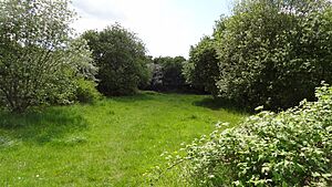 Oak Avenue Local Nature Reserve 4