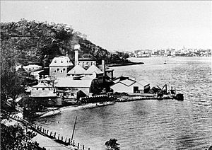 Old Swan Bewery