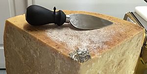 Parmesan cheese knife on block of cheese