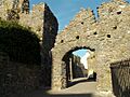 Part of Tenby Castle - geograph.org.uk - 893440