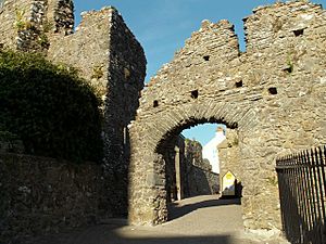 Part of Tenby Castle - geograph.org.uk - 893440