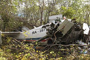 Petropavlovsk-Kamchatsky Air Flight 251 crash site (MAK photo)