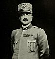 Portrait of General Armando Diaz