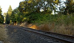 Railroad tracks at Middleton