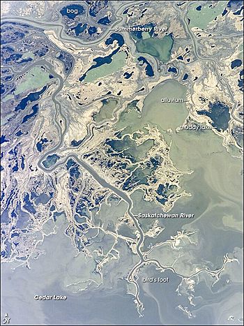 Saskatchewan River delta (NASA)