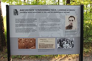 Sobibór extermination camp (05)