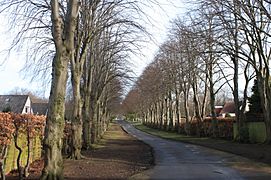 The avenue of trees leading to Corstorphine Hill Cemetery