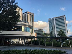 University Town, National University of Singapore, February 2020 (2)