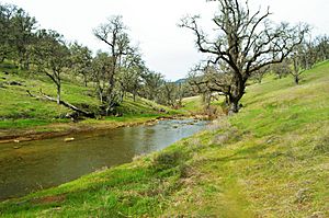 Upper Eticuera Creek