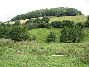View North across the valley - geograph.org.uk - 909838.jpg