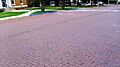 Warren Brick Streets 001