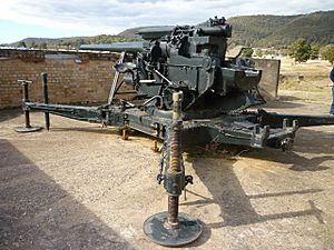 1862 - Lithgow Heavy Anti Aircraft Gun Stations and Dummy Station - Gun at Gun Battery A (5061196b11).jpg