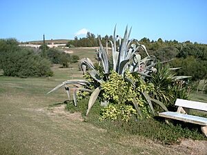 2006-11-21-Hammamet-63